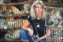 Jill Robinson Animals Asia